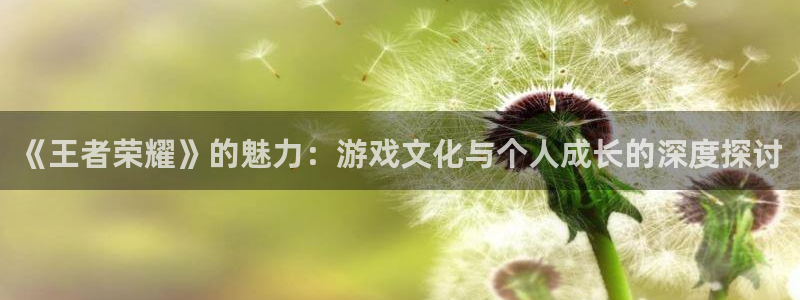 u8收费平台